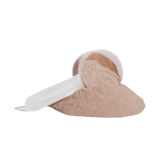VYNTE Plant Protein (Chocolate)